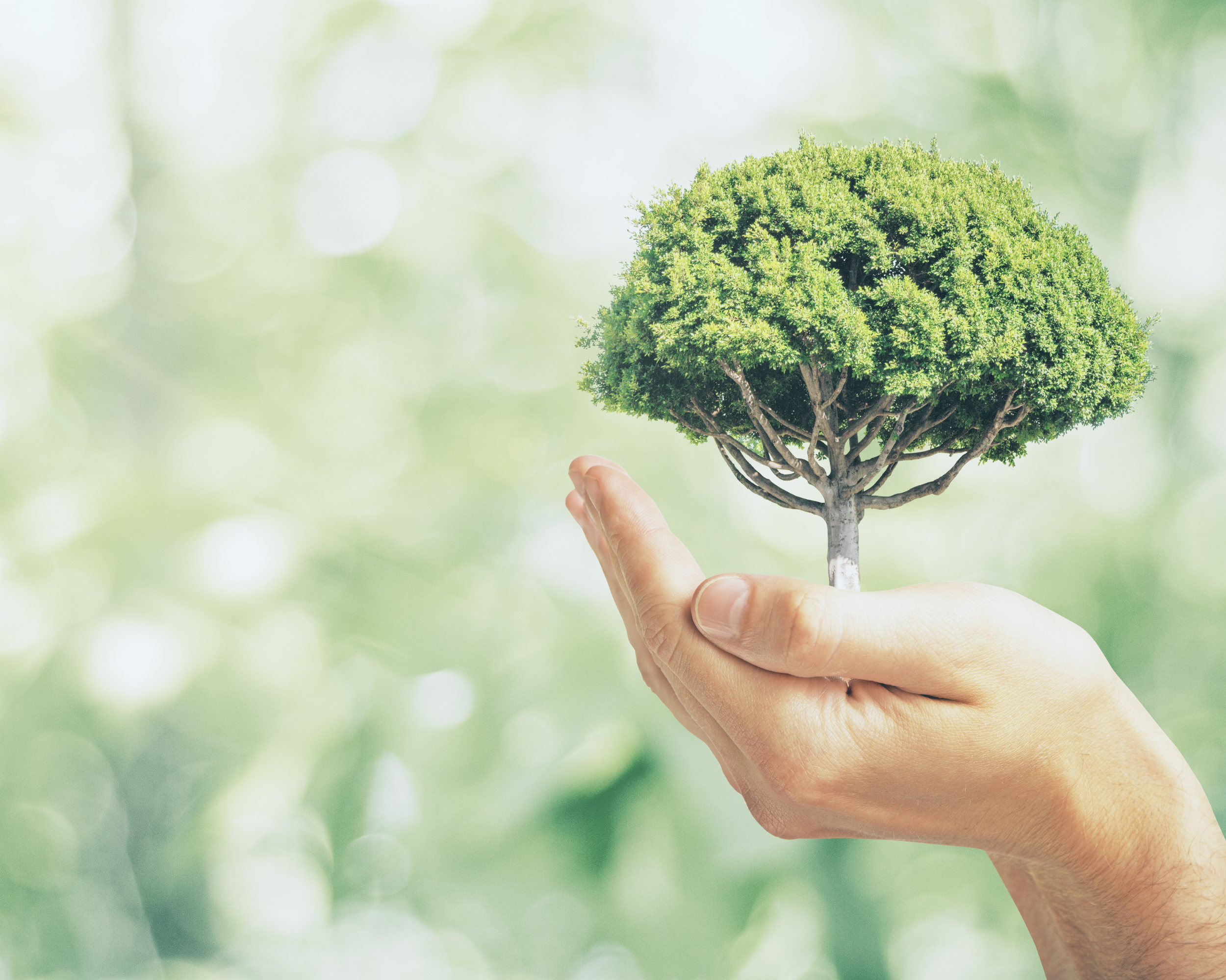 Progetto senza titolo(5)